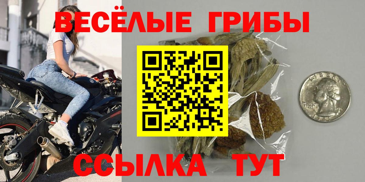 Галлюциногенные грибы Psilocybe  Жигулёвск  Галлюциногенные грибы ЛСД 