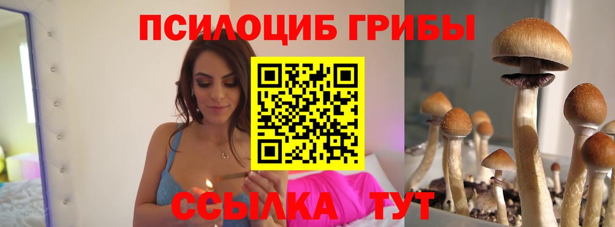 Галлюциногенные грибы прущие грибы Жигулёвск